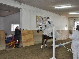 DSC_0223-2_web